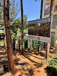 biosorra-in-action-slide-7